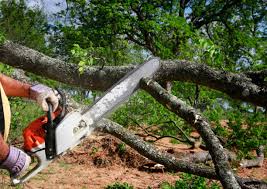 Seasonal Cleanup in Sandstone, MN